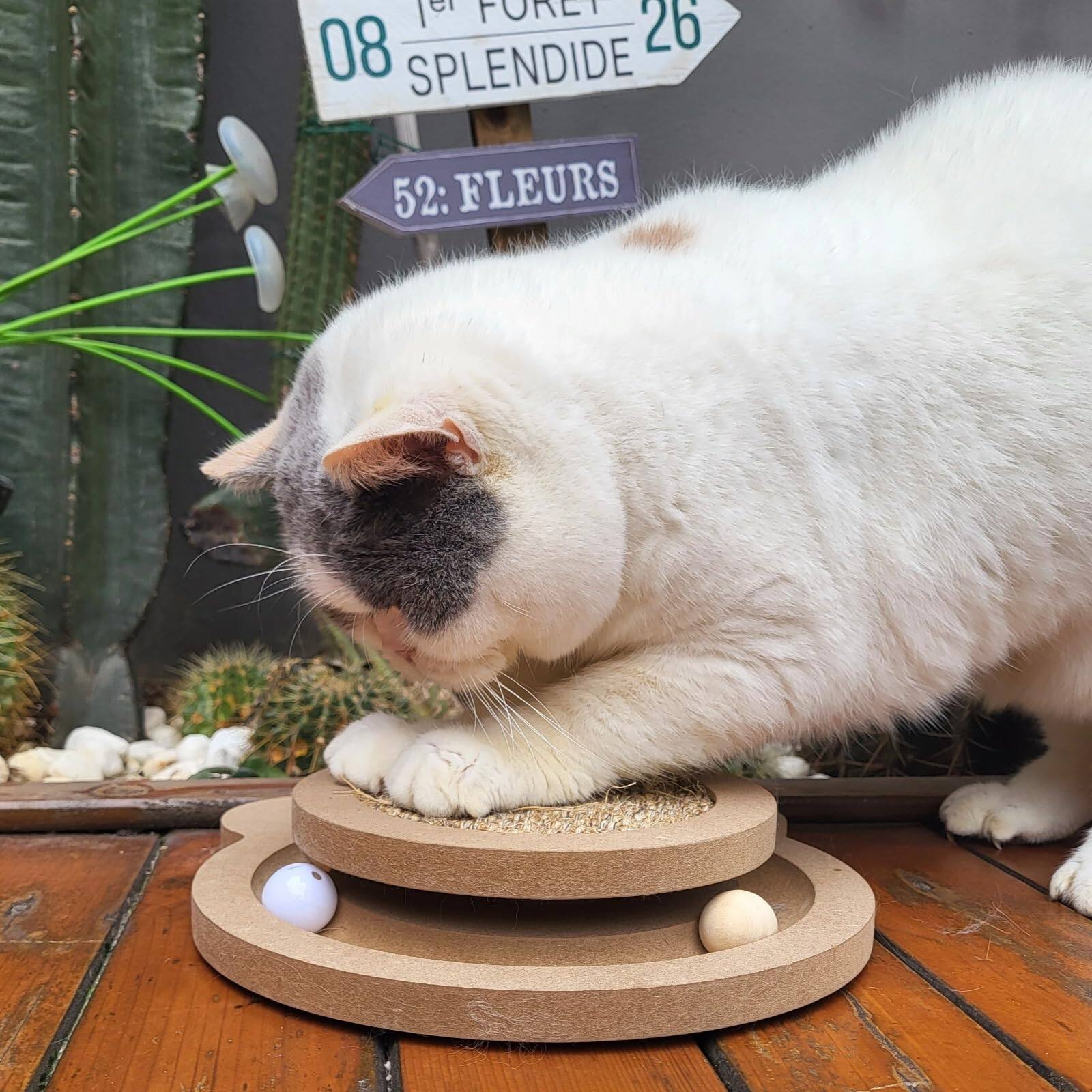 08 FORET SPLENDIDE  
26  
52: FLEURS