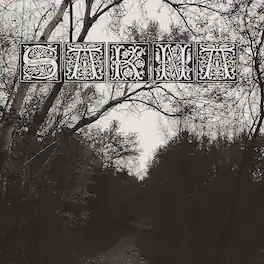 Sakna - De Syv Dodssynder - VINYL LP