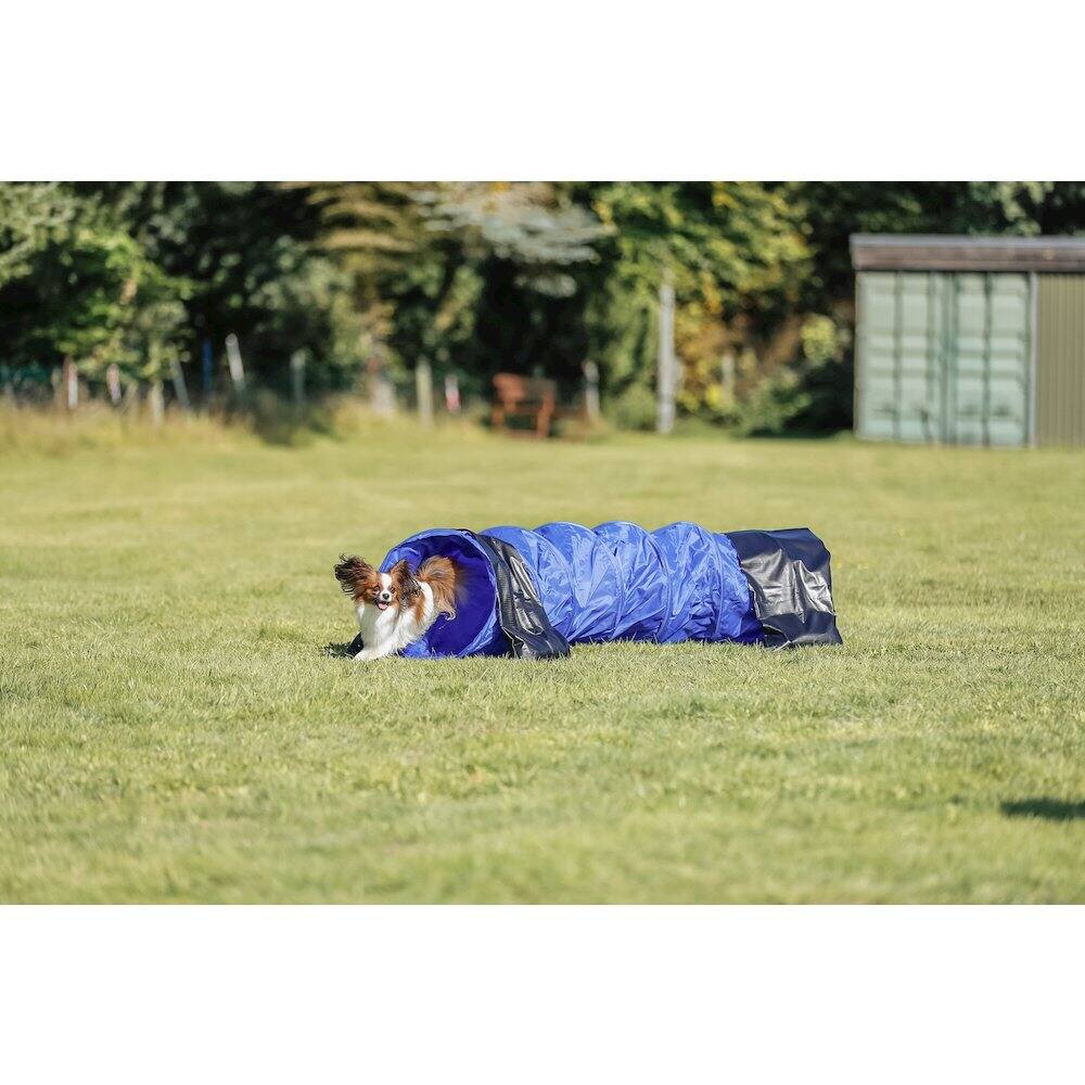 Angle. TRIXIE - Dog Agility Tunnel 6.5', Portable Dog Training Tunnel, Obedience - Blue.