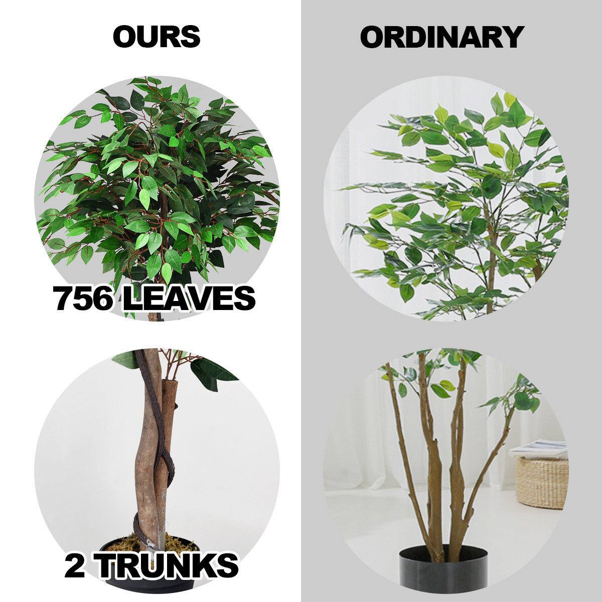 The corrected text from the image is:

- "756 LEAVES"
- "2 TRUNKS"
- "ORDINARY"