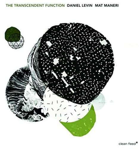 Daniel Levin - Transcendent Function   - COMPACT DISCS [CD] price history on PriceWatchPro