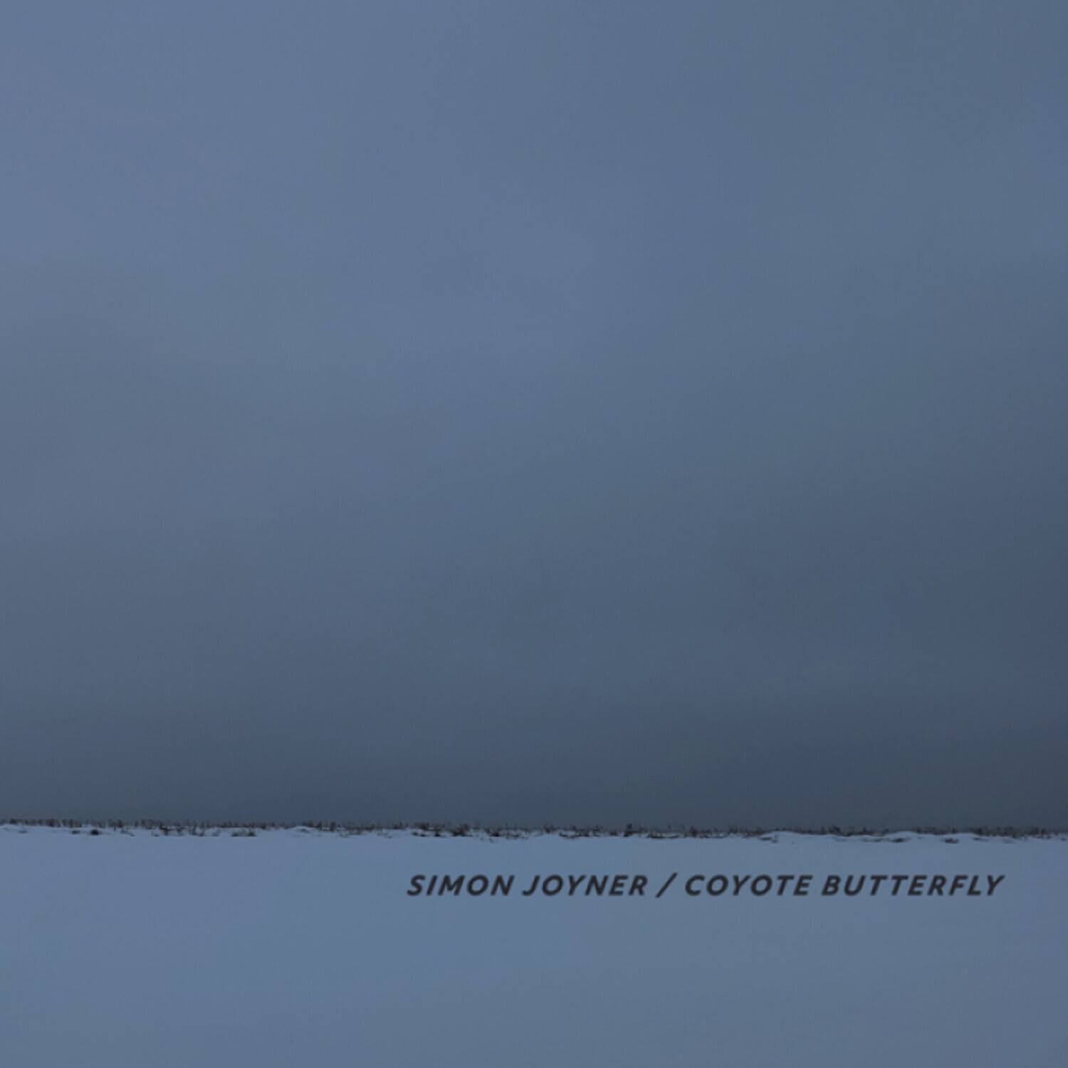 SIMON JOYNER / COYOTE BUTTERFLY