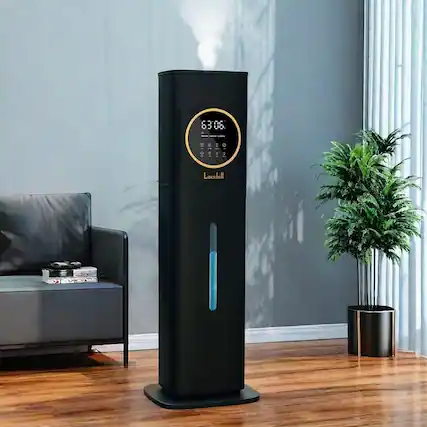 63'06. ... & g Lacidell
63.05. ... & g Lacidell