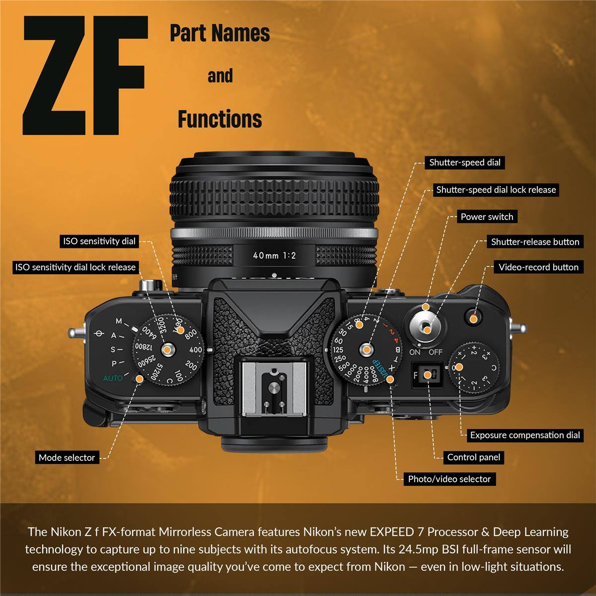 ZF

Part Names and Functions

- Shutter-speed dial
- Shutter-speed dial lock release
- Power switch
- ISO sensitivity dial
- ISO sensitivity dial lock release
- 40 mm 1:2
- Shutter-release button
- Video-record button
- M
- De
- 0019
- 3200
- 008
- A
- S
- 12800
- 400
- P
- 25600
- 200
- AUTO
- 51200
- 100
- 15
- 30
- 60
- 125
- 250
- P
- 500
- 1000
- 2000
- 4000
- 8000
- B
- 1
- ON
- F
- OFF
- C
- Exposure compensation dial
- Mode selector
- Control panel
- Photo/video selector

The Nikon Z f FX-format Mirrorless Camera features Nikon's new EXPEED 7