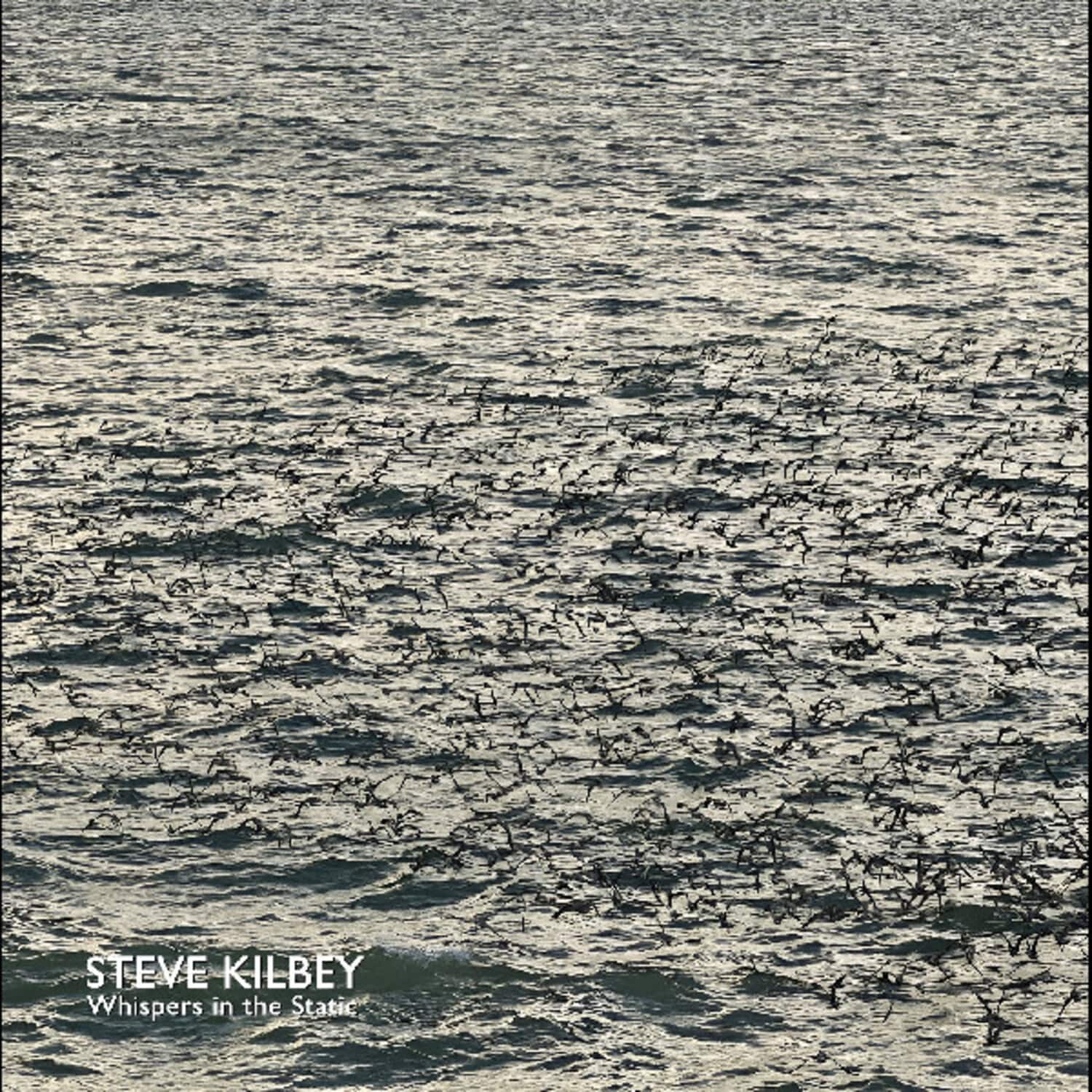 Steve Kilbey - Whispers In The Static   - VINYL LP price history on PriceWatchPro