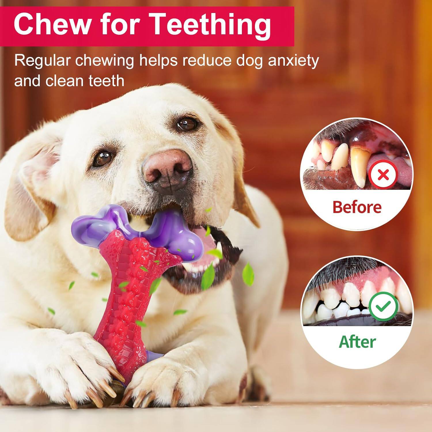 Chew for Teething  
Regular chewing helps reduce dog anxiety and clean teeth  

Before  
After