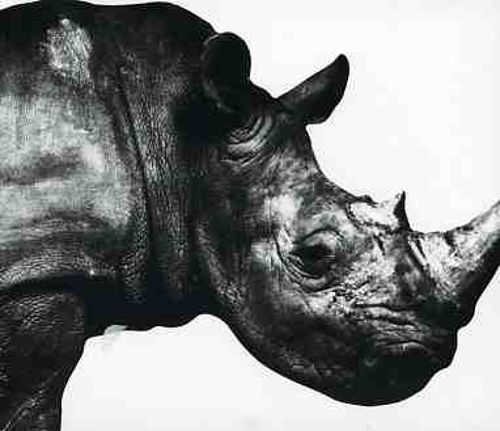 Best Buy: Mr. Children 1992-1995 [CD]