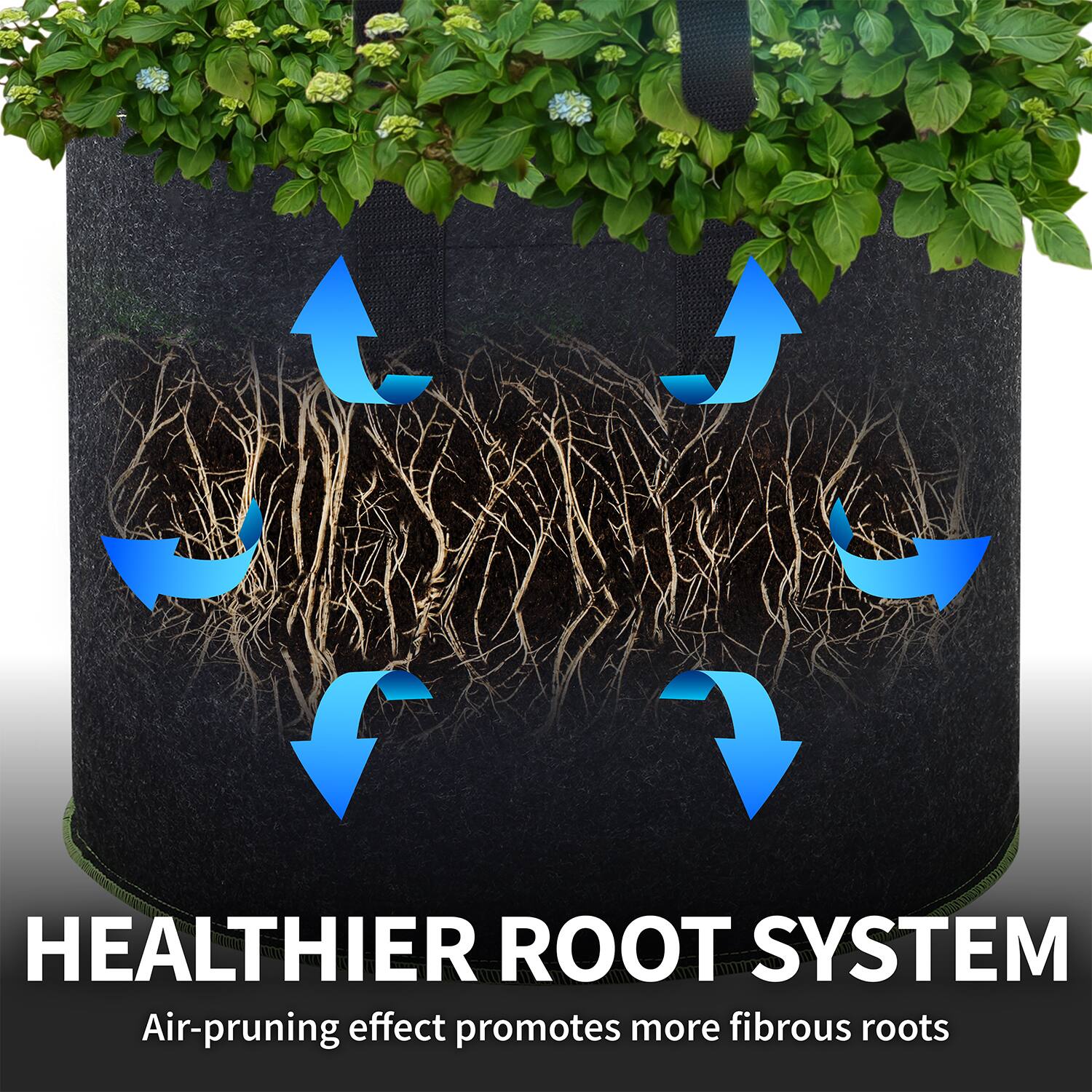 HEALTHIER ROOT SYSTEM  
Air-pruning effect promotes more fibrous roots