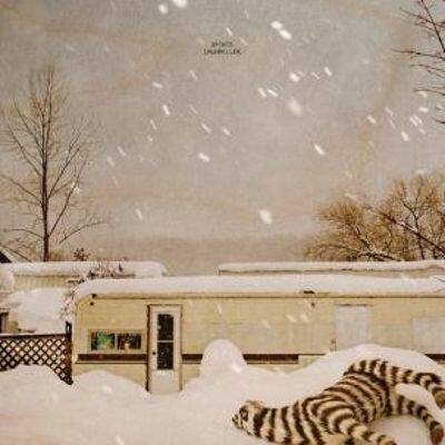 

Drumheller [LP] - VINYL