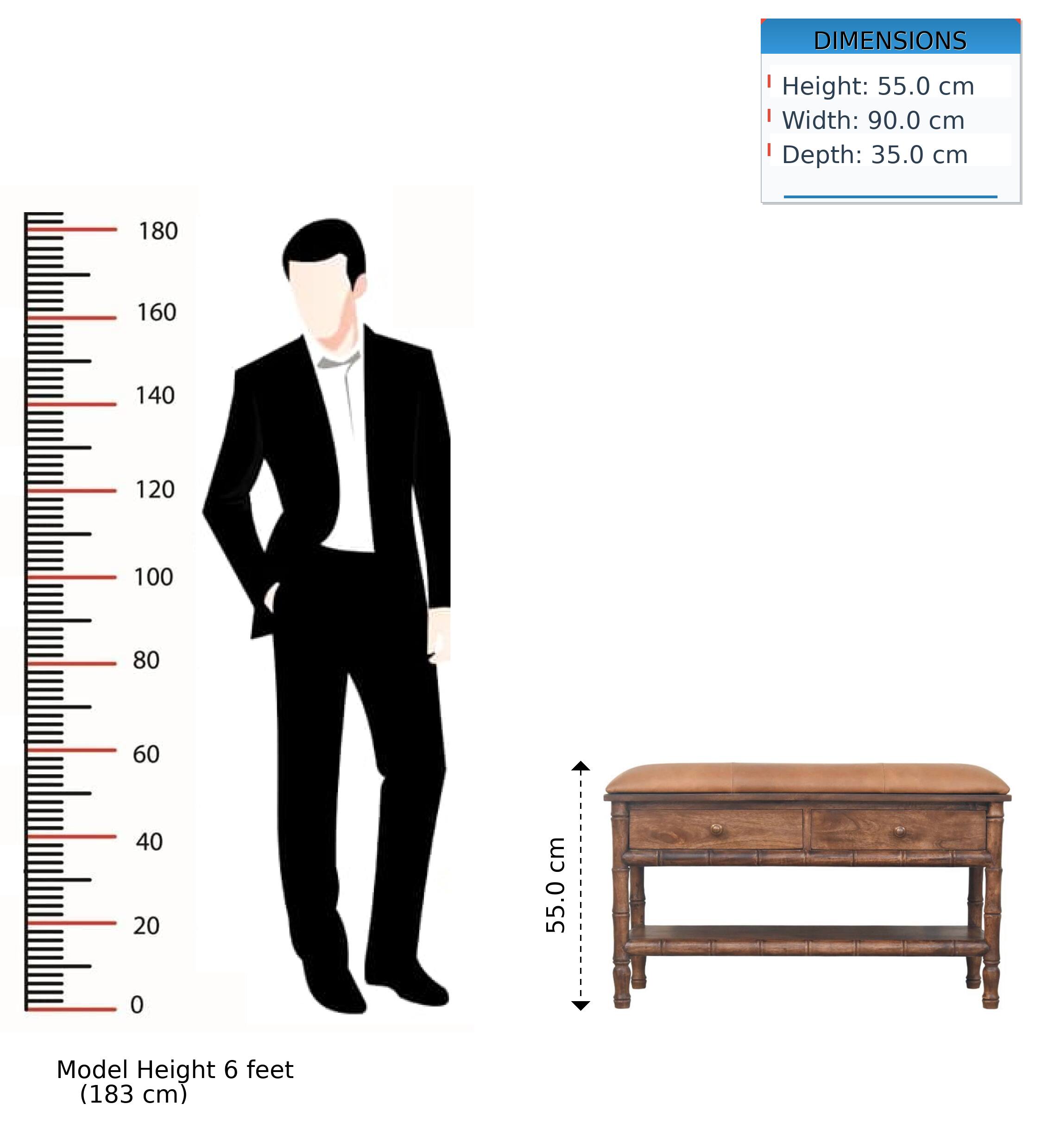 DIMENSIONS  
Height: 55.0 cm  
Width: 90.0 cm  
Depth: 35.0 cm  

Model Height: 6 feet (183 cm)
