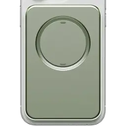 Crocodile Green