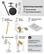 Quick & Easy Assembly
- All parts included
- Easy to follow instructions
1. Assemble the main column
2. Attach the base
3. Attach the brackets to your TV
4. Adjust the height
5. Mount your TV to the stand
Full assembly instructions are listed under "Manuals & Guides" in the Features section.
To confirm TV compatibility, search: "WALL TV Stand Compatibility List."
Need help? Feel free to contact us anytime.