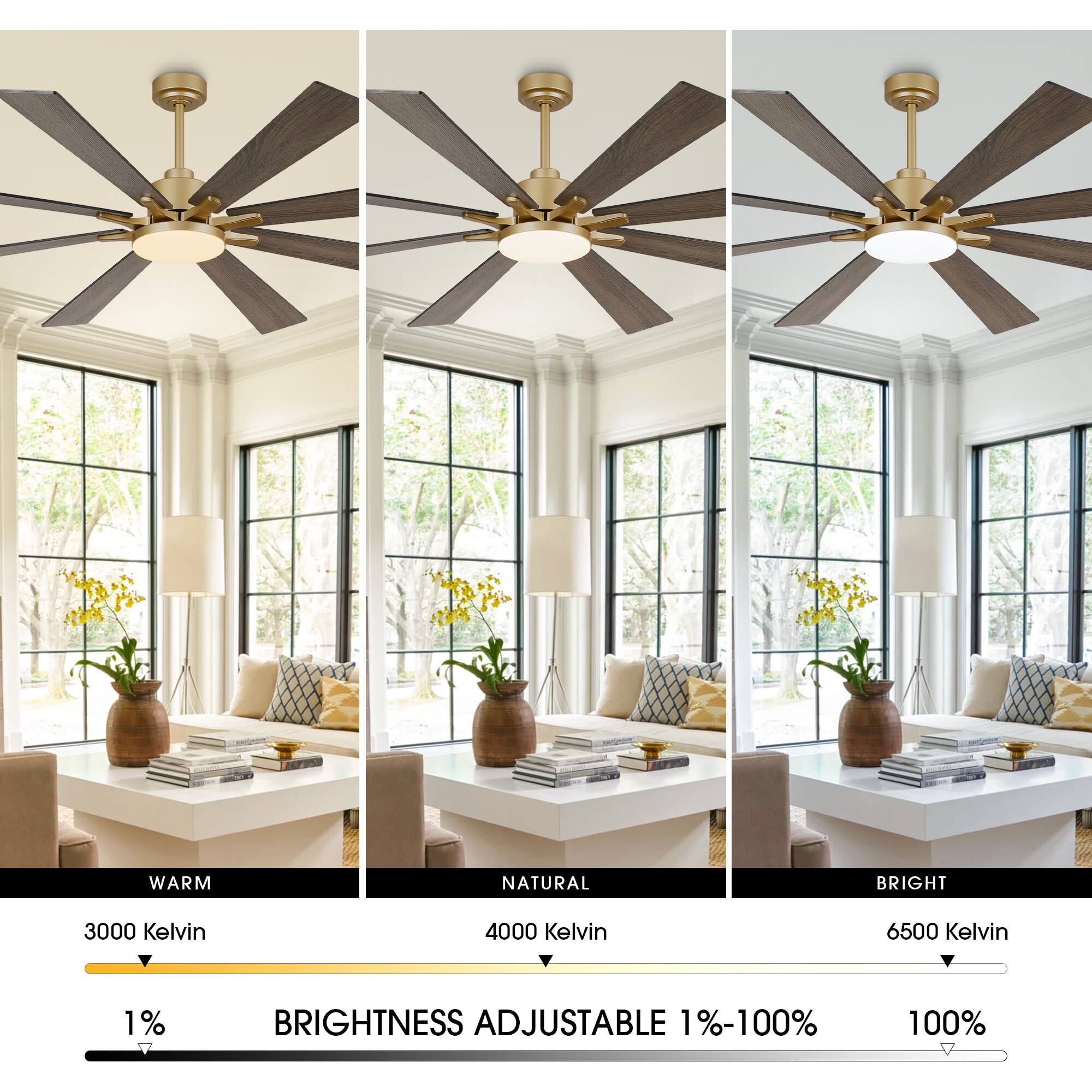WARM NATURAL BRIGHT  
3000 Kelvin  
4000 Kelvin  
6500 Kelvin  
1% BRIGHTNESS ADJUSTABLE 1%-100%  
100%
