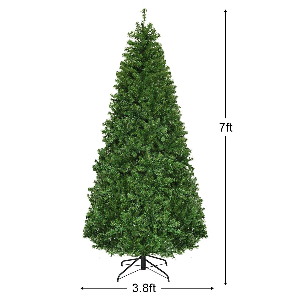 The text on the image reads "7ft 3.8ft." This indicates that the tree is 7 feet tall and has a base of 3.8 feet.