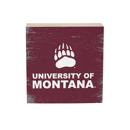 UNIVERSITY OF MONTANA