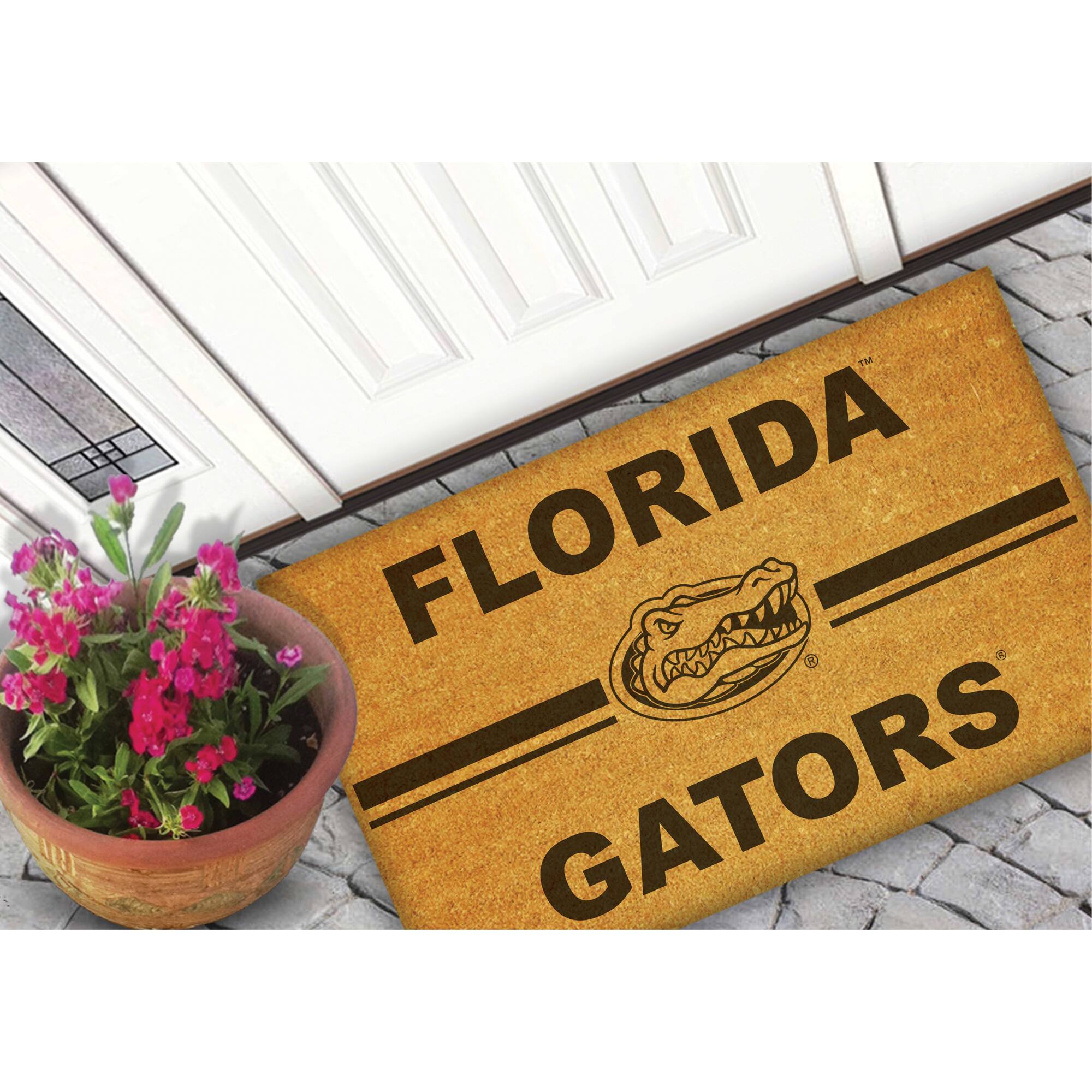 FLORIDA  
GATORS