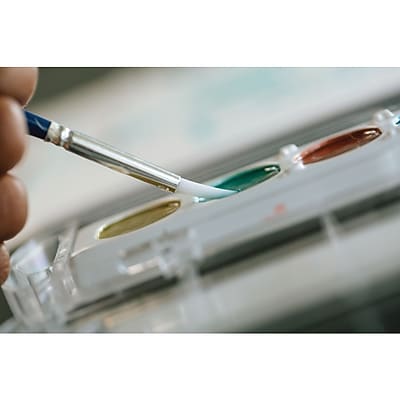 Alt View 3. Prang - Semi-Moist Washable Watercolor Paint Set, 8 Colors/Set, 36 Sets/Box - Assorted.