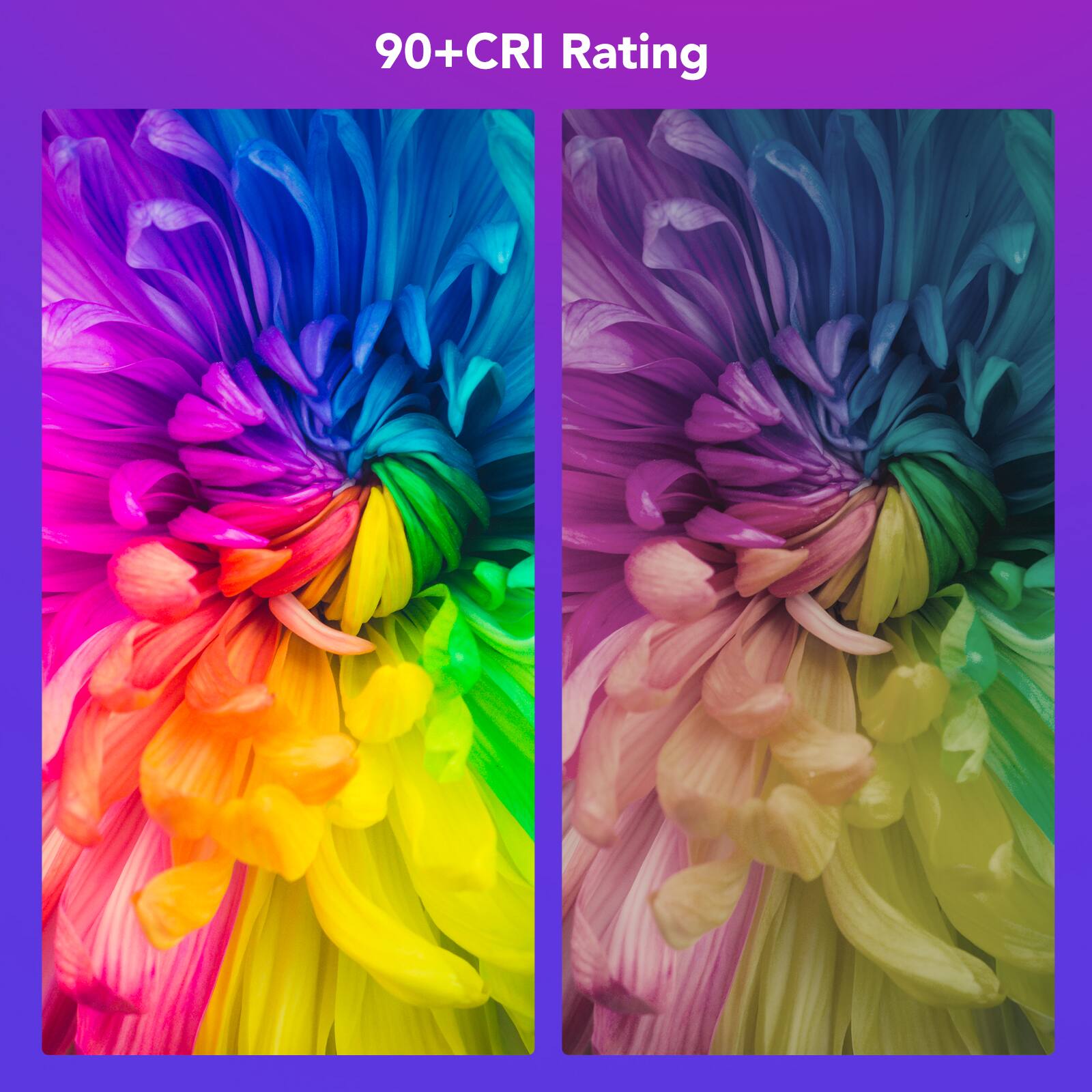 90+ CRI Rating