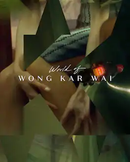 World of Wong Kar Wai (Criterion Collection) - BLU-RAY