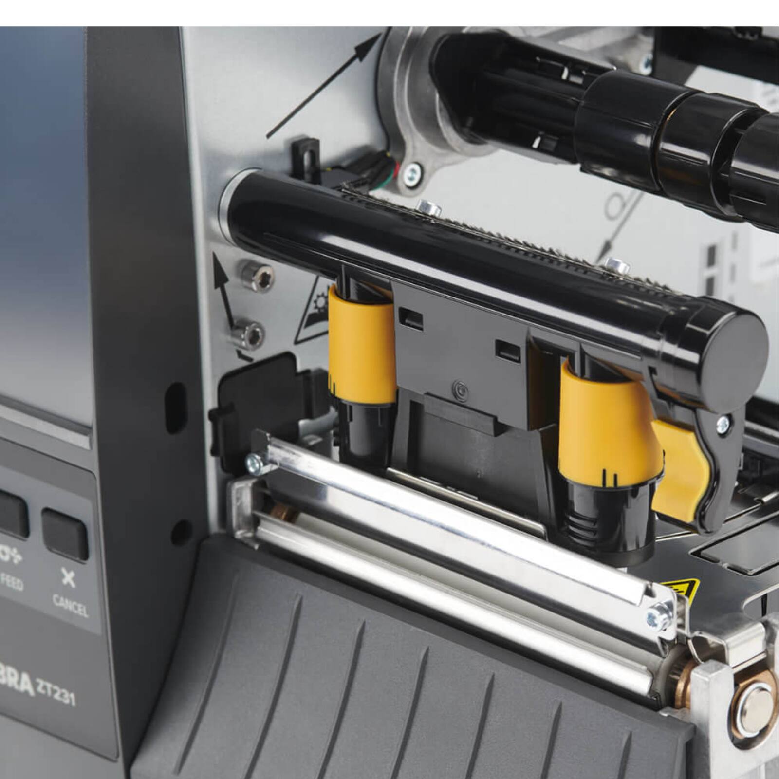 FEED X CANCEL BRA ZT231