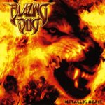Front Standard. Metallic Beast [CD].