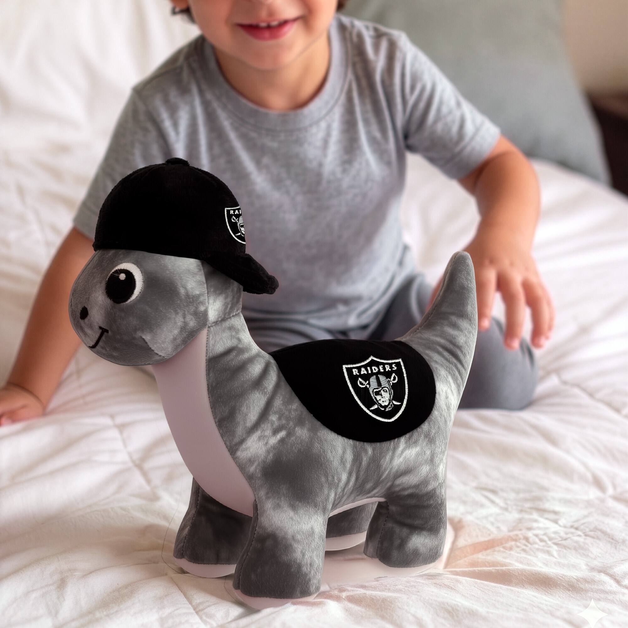 RAIDERS