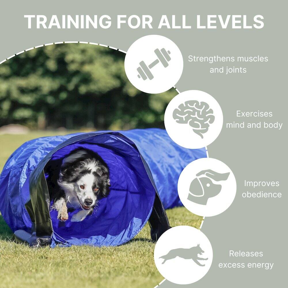 TRAINING FOR ALL LEVELS

- Strengthens muscles and joints
- Exercises mind and body
- Improves obedience
- Releases excess energy