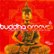 Front Standard. Buddha Grooves, Vol. 6 [CD].