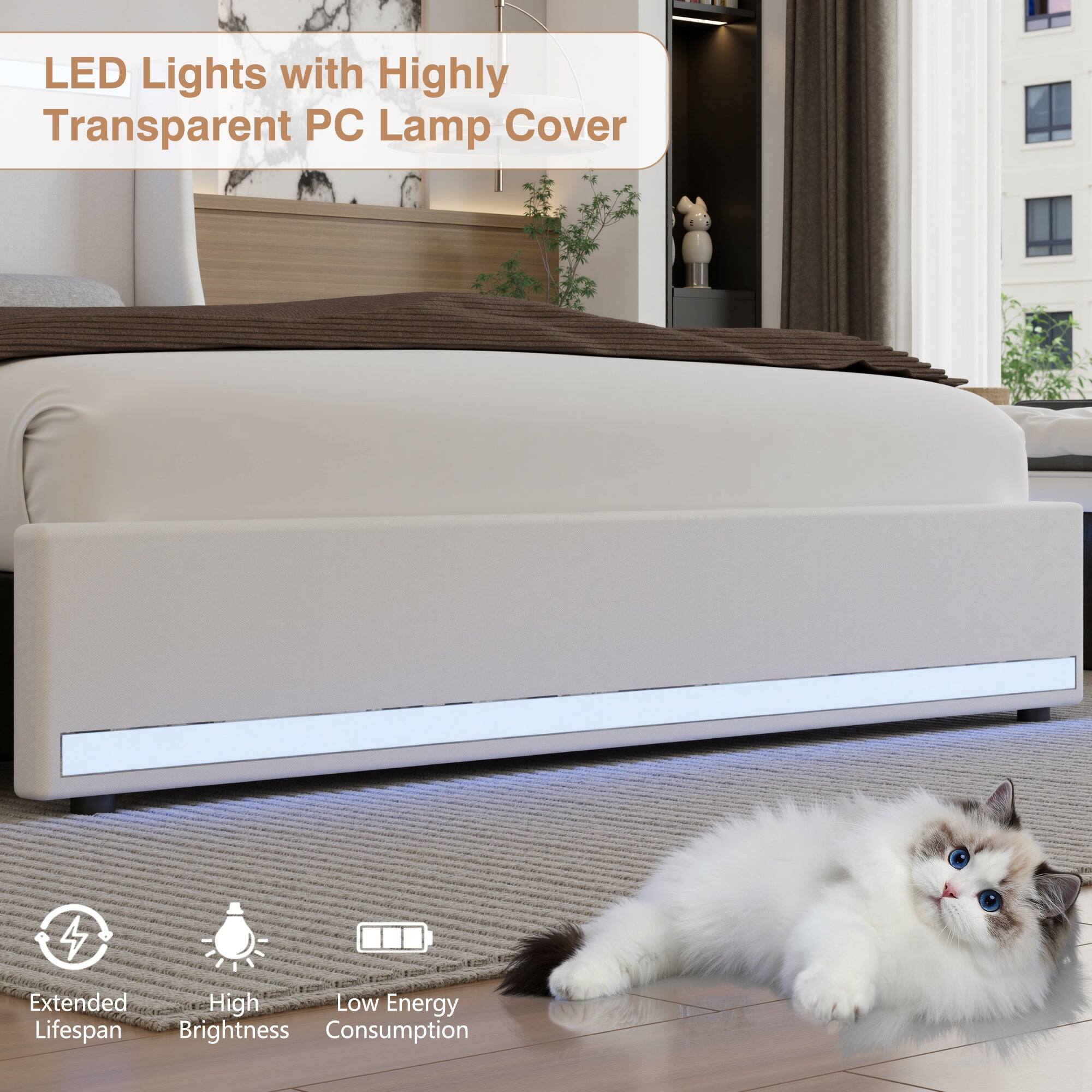 LED Lights with Highly Transparent PC Lamp Cover

- Extended Lifespan
- High Brightness
- Low Energy Consumption