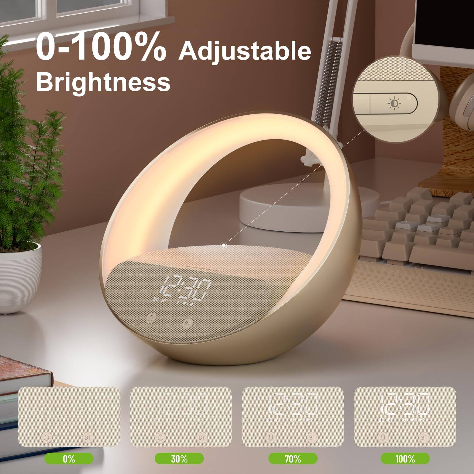 0-100% Adjustable Brightness

1. U G DC E7
2. 12:30 DC OT 12:30 DC B
3. 10 UT BT UT 0 BT 0%
4. 30% 70% 100%