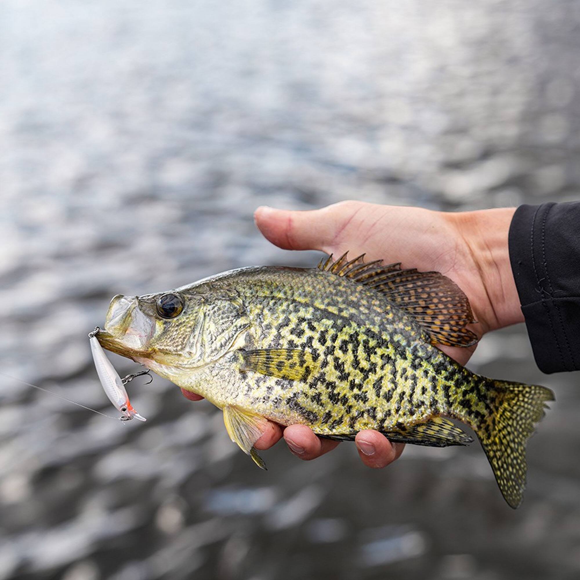 Alt View 1. Rapala - Rapala X-Rap 12 Fishing Lure, Hot Head - Hot Head.