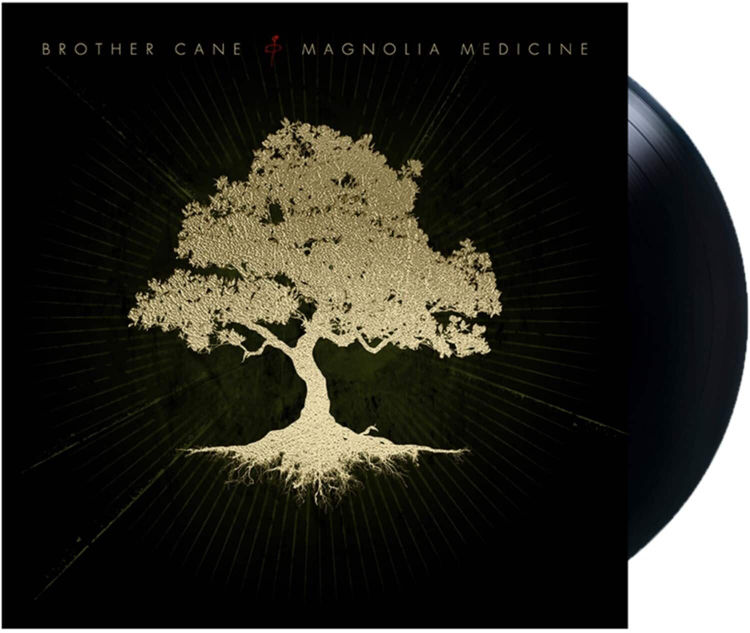Brother Cane - Magnolia Medicine   - VINYL LP price history on PriceWatchPro