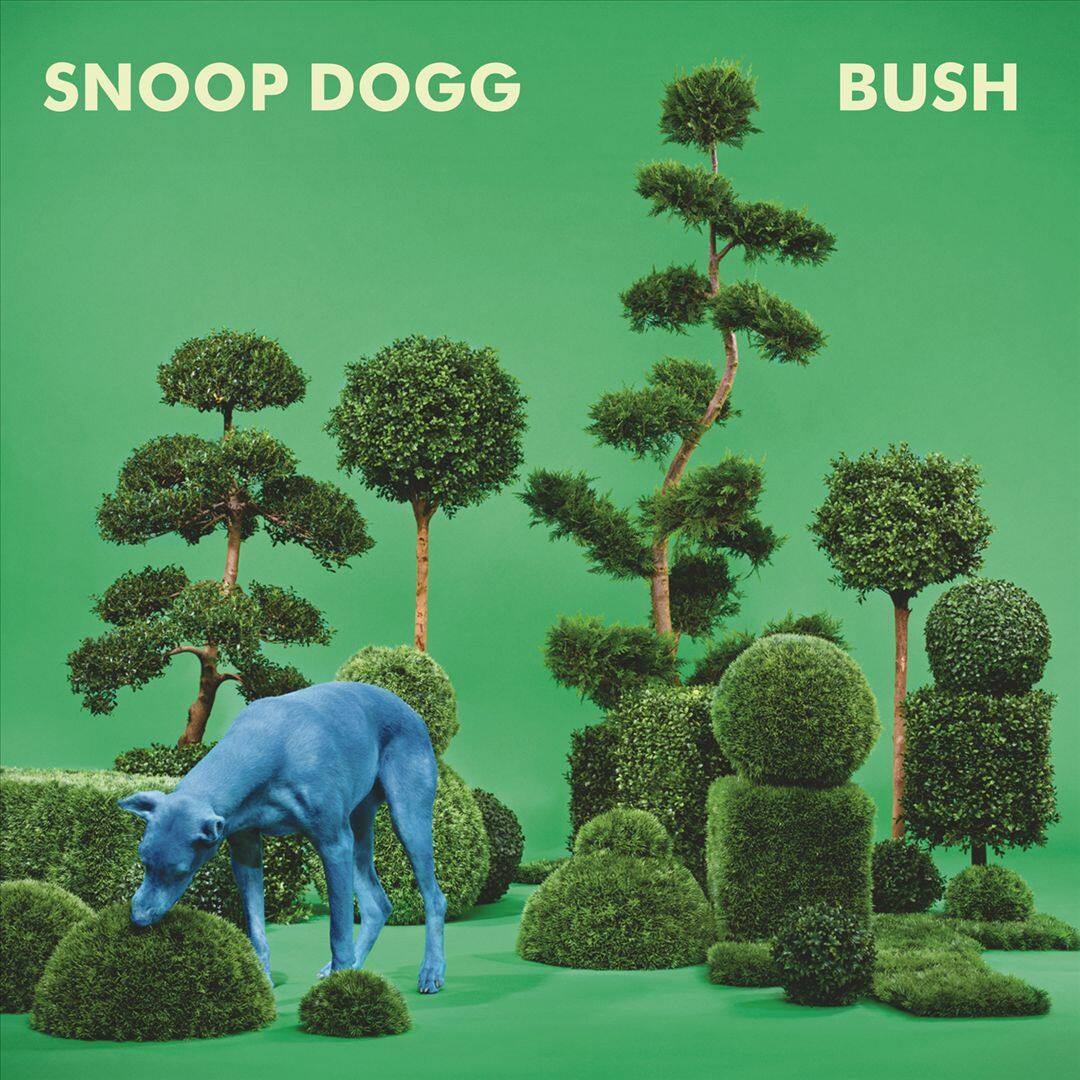 Front. Bush [LP].