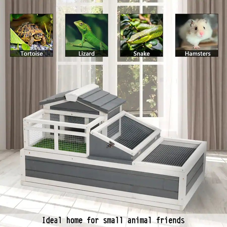 Beautiful view of Cheapest Hamster Cage For Tortoise Housing