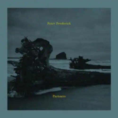 Peterp Roderick Peter Broderick Partners VINYL LP - Best Buy