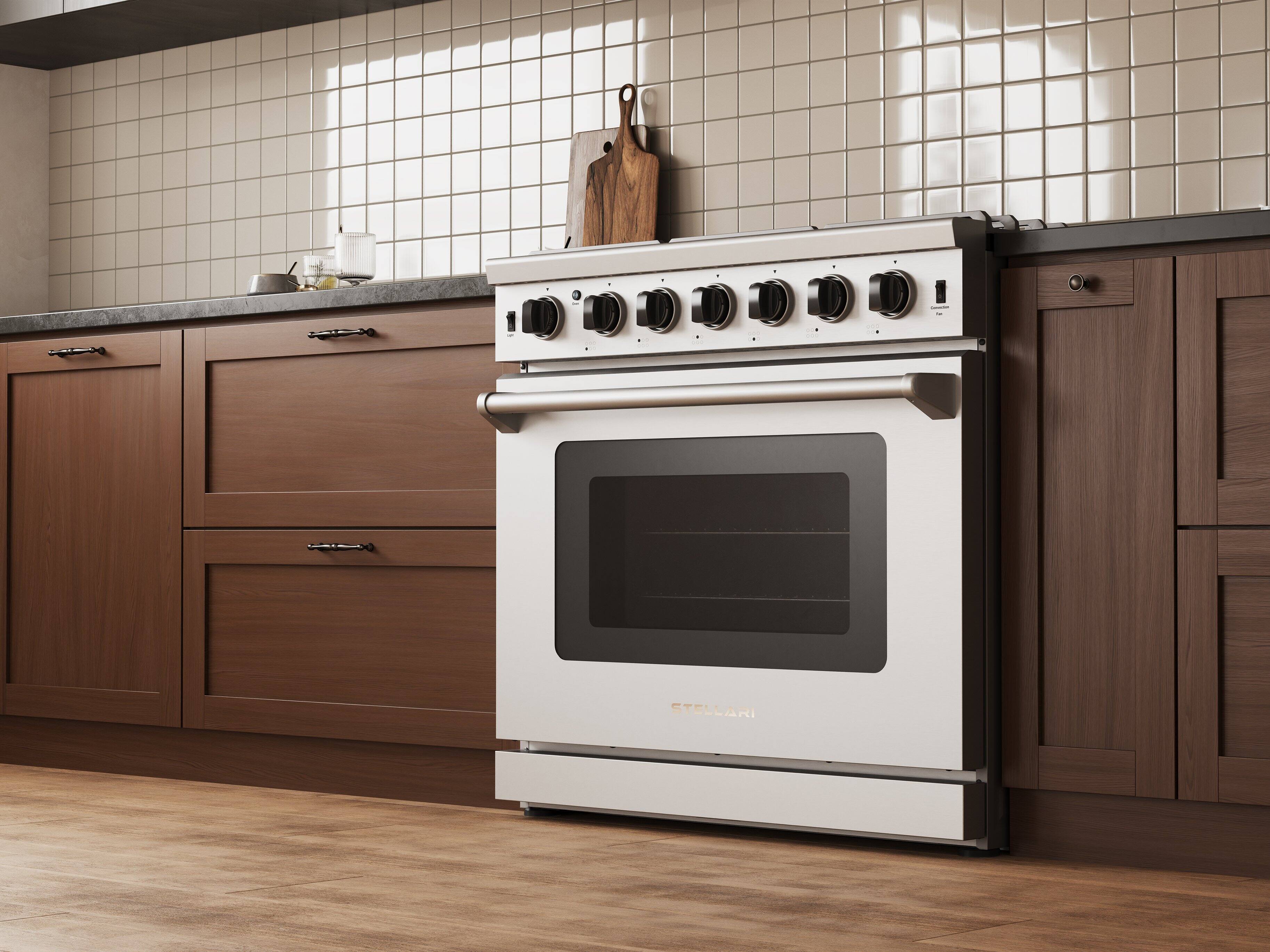 Back. Stellari - 36 in. 6-Burners 6 cu. Ft. Freestanding Professional Gas Range in Stainless Steel with Convection Oven and Drawer - Stainless Steel.