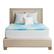 Front. Sealy - 1.5" Chill Gel Memory Foam Queen Topper - Blue.