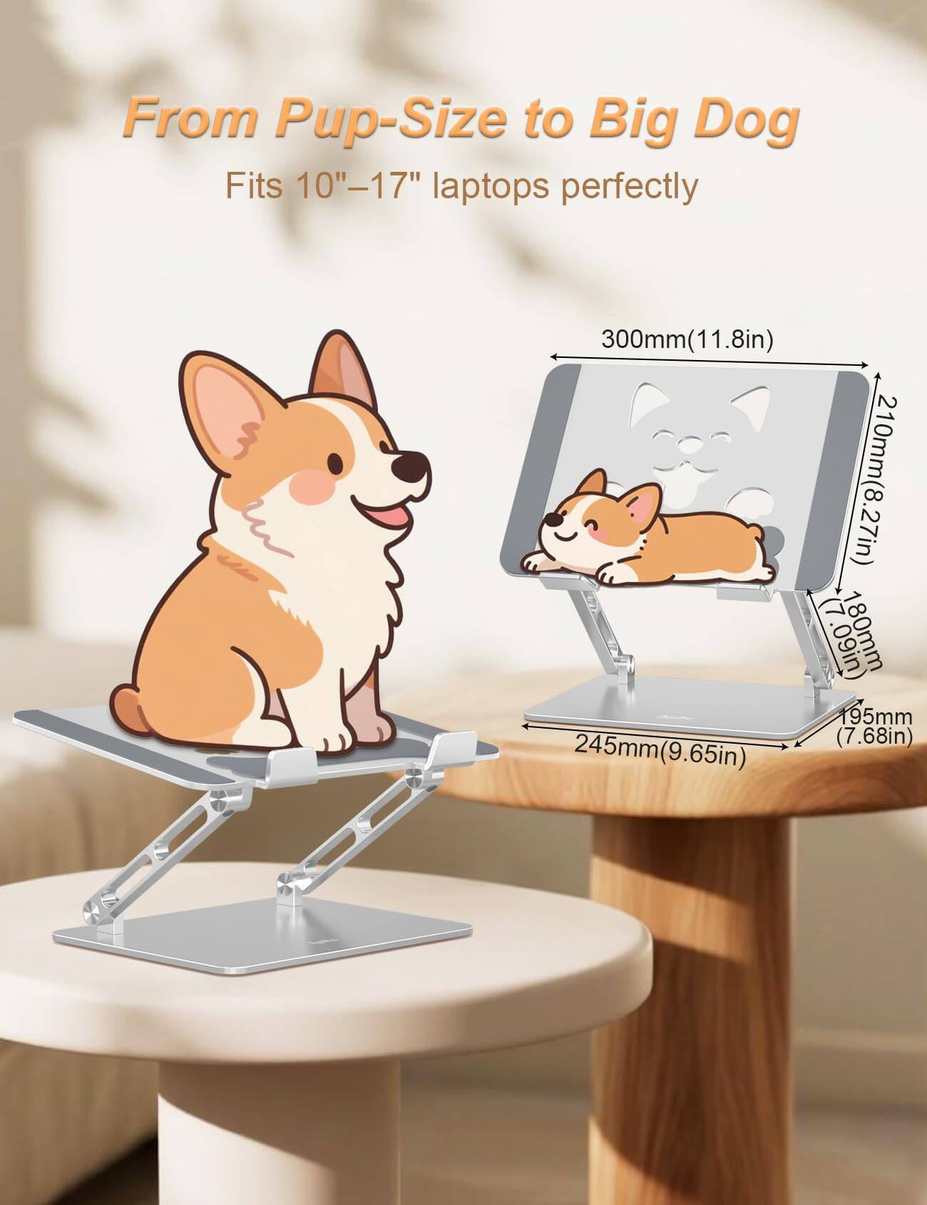 From Pup-Size to Big Dog  
Fits 10"-17" laptops perfectly  

300mm (11.8in)  
245mm (9.65in)  
210mm (8.27in)  
180mm (7.09in)  
195mm (7.68in)