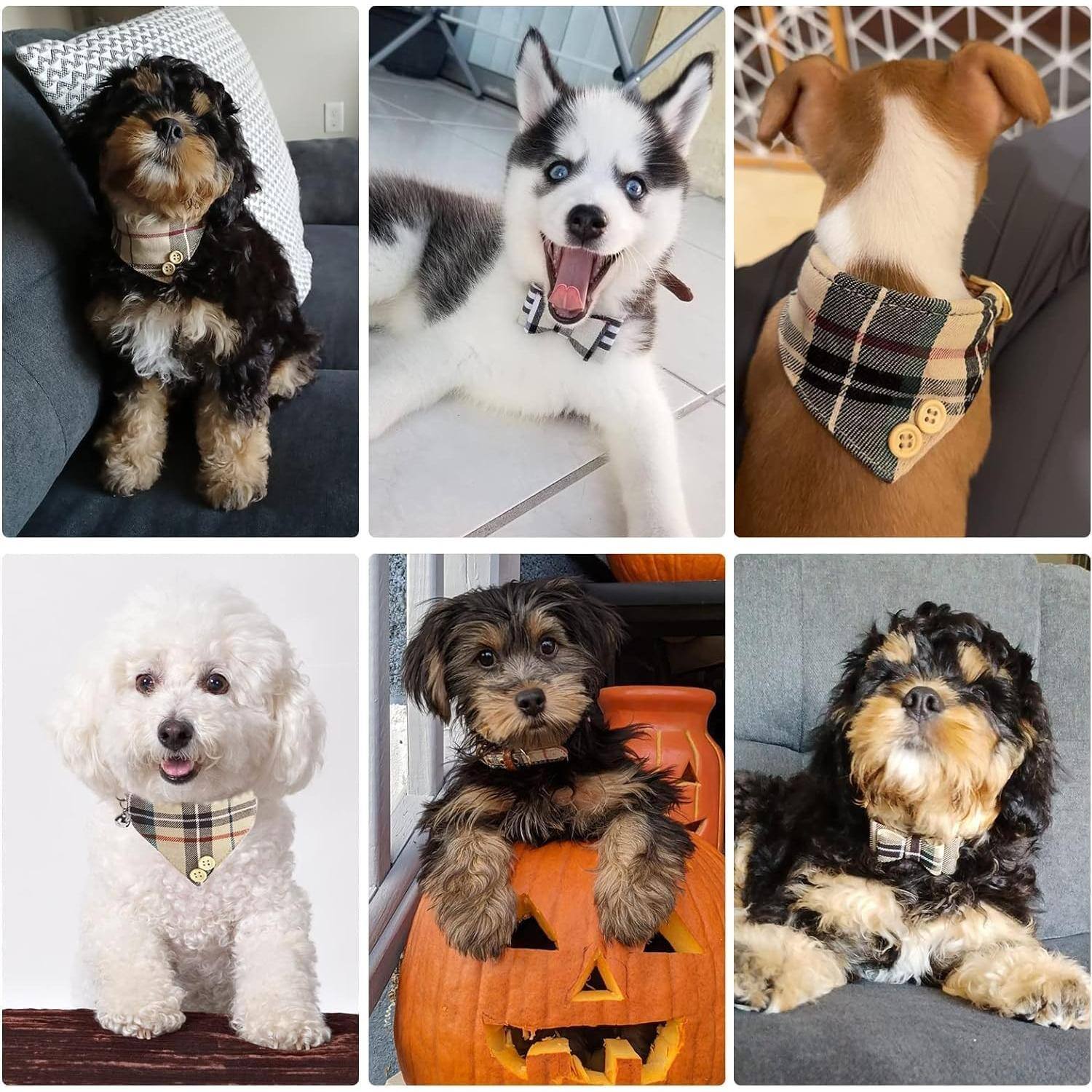 Alt View 5. Paradigms Interiors - Dog Collar And Leash Set With Bowtie Bells - Puppy For Boy Or Girl Classic Plaid Matching Pattern Soft - Blue-Small(Neck Girth 9"-11").