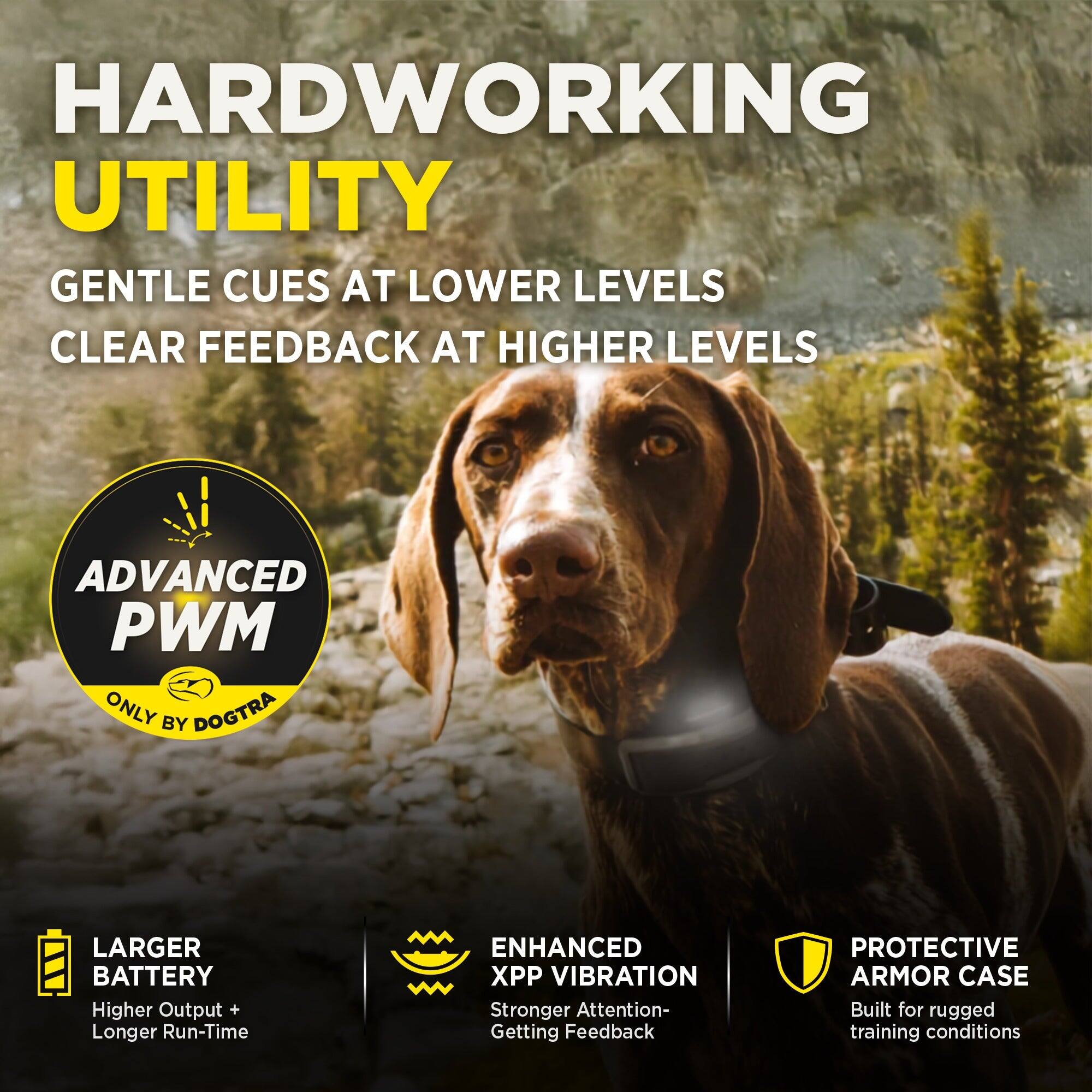 HARDWORKING UTILITY  
GENTLE CUES AT LOWER LEVELS  
CLEAR FEEDBACK AT HIGHER LEVELS  
ADVANCED PWM ONLY BY DOGTRA  
LARGER BATTERY  
Higher Output + Longer Run-Time  
ENHANCED XPP VIBRATION  
Stronger Attention-Getting Feedback  
PROTECTIVE ARMOR CASE  
Built for rugged training conditions