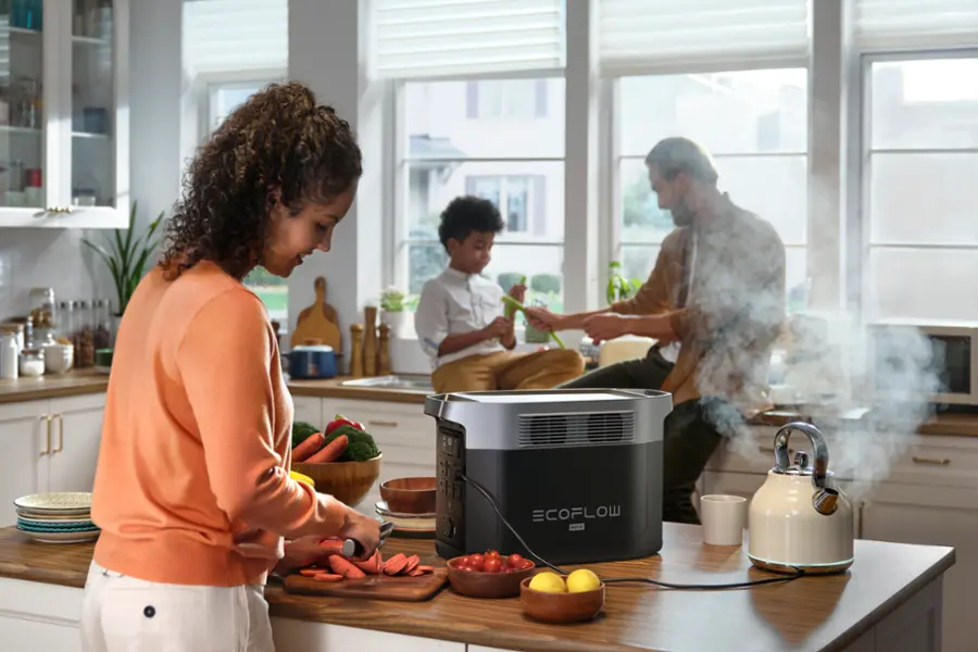 Alt View 24. EcoFlow - DELTA 2 MAX 2048Wh Portable Power Station - Black.