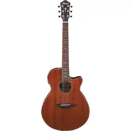 Ibanez - AEG220 AEG Single-Cutaway Acoustic Electric Guitar, Low Gloss