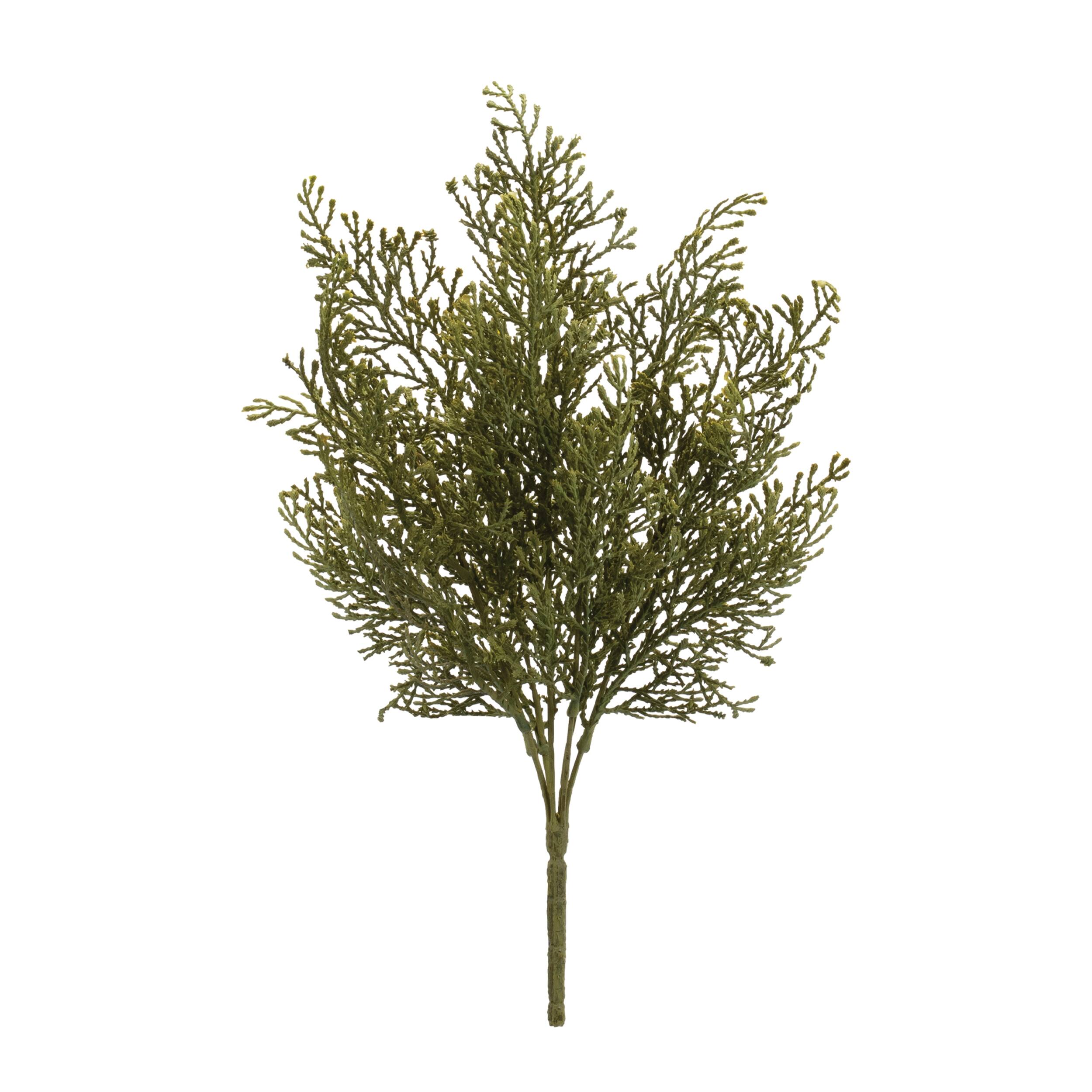 Angle. BreeBe - Cedar Bush (Set of 4) - Green.
