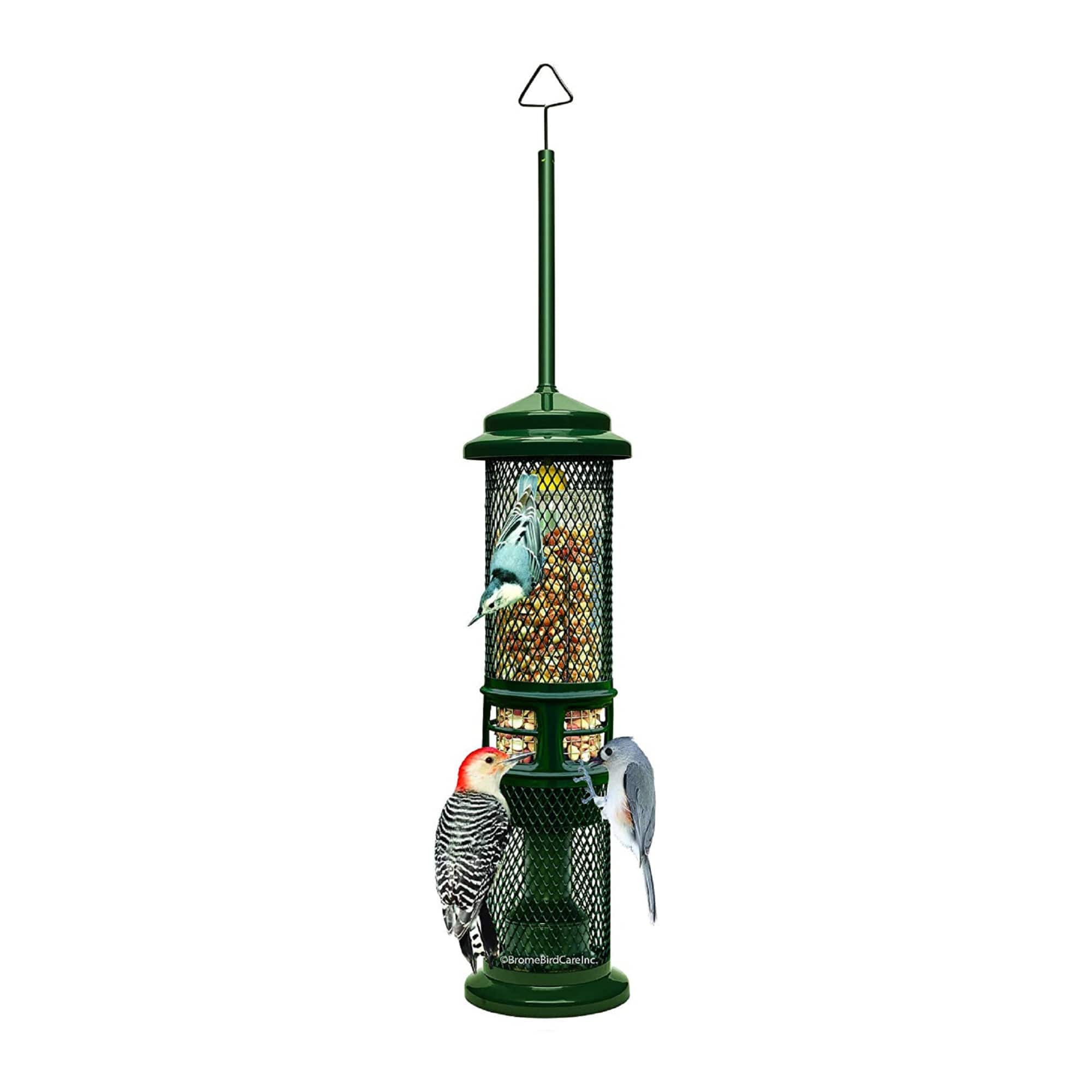 Brome - Squirrel Buster Nut Feeder Squirrel-Proof Bird Feeder (Two Meshes) - Grenn price history on PriceWatchPro