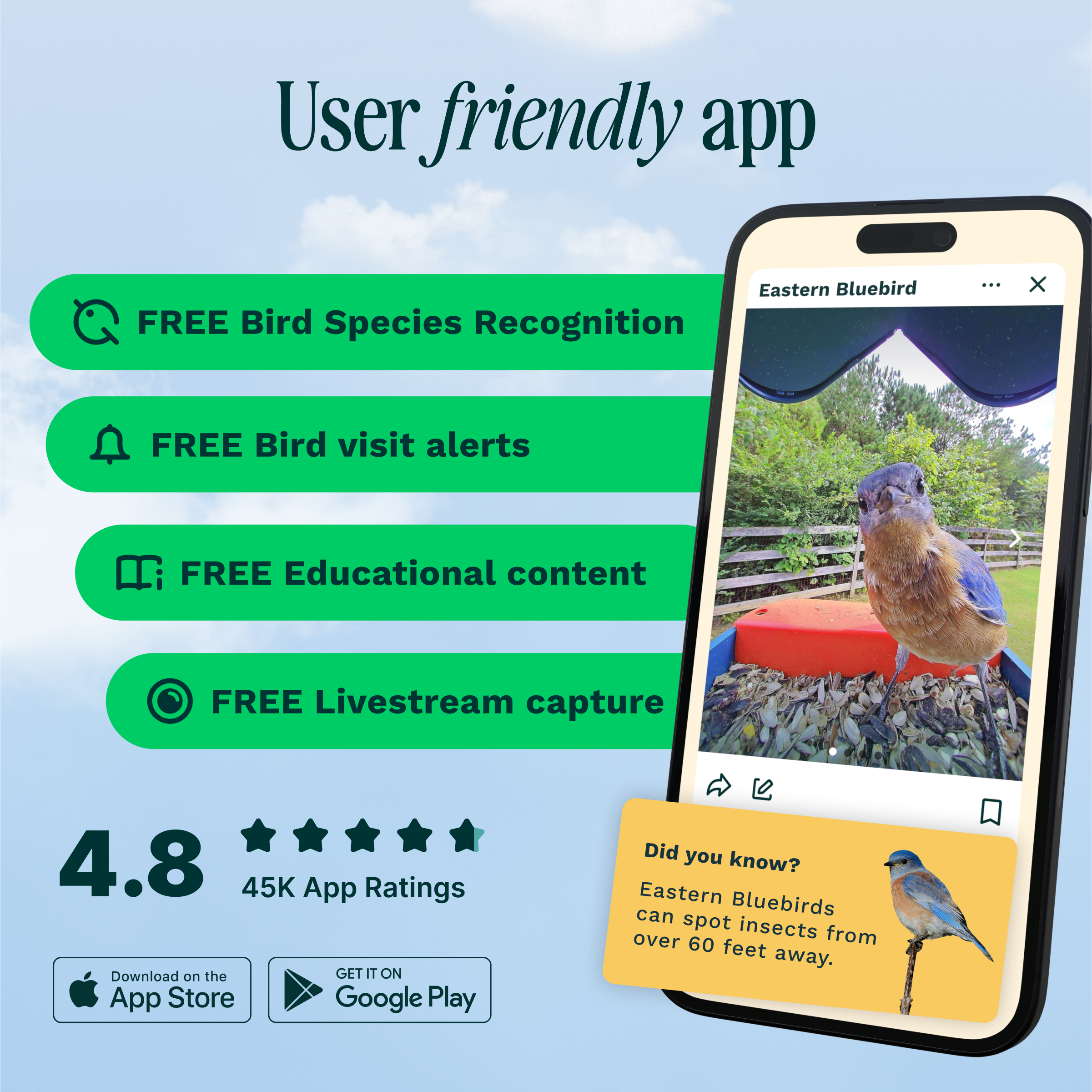 The text on the image is grouped and corrected as follows:
User Friendly App: Eastern Bluebird
* Free Bird Species Recognition
* Free Bird Visit Alerts
* Free Educational Content
* Free Livestream Capture
4.8 45K App Ratings
Download on the GET IT ON App Store & Google Play
Did you know? Eastern Bluebirds can spot insects from over 60 feet away.