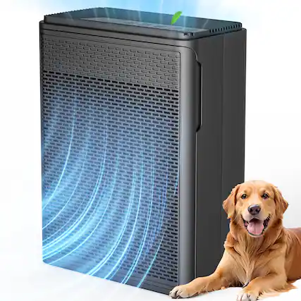 Front. GlowWise - Home Pet Air Purifier - 1500 Sq Ft Coverage, H13 HEPA & Washable Pre-Filter Removes Hair/Dander/Smoke | 22dB Sleep Mode - Black.