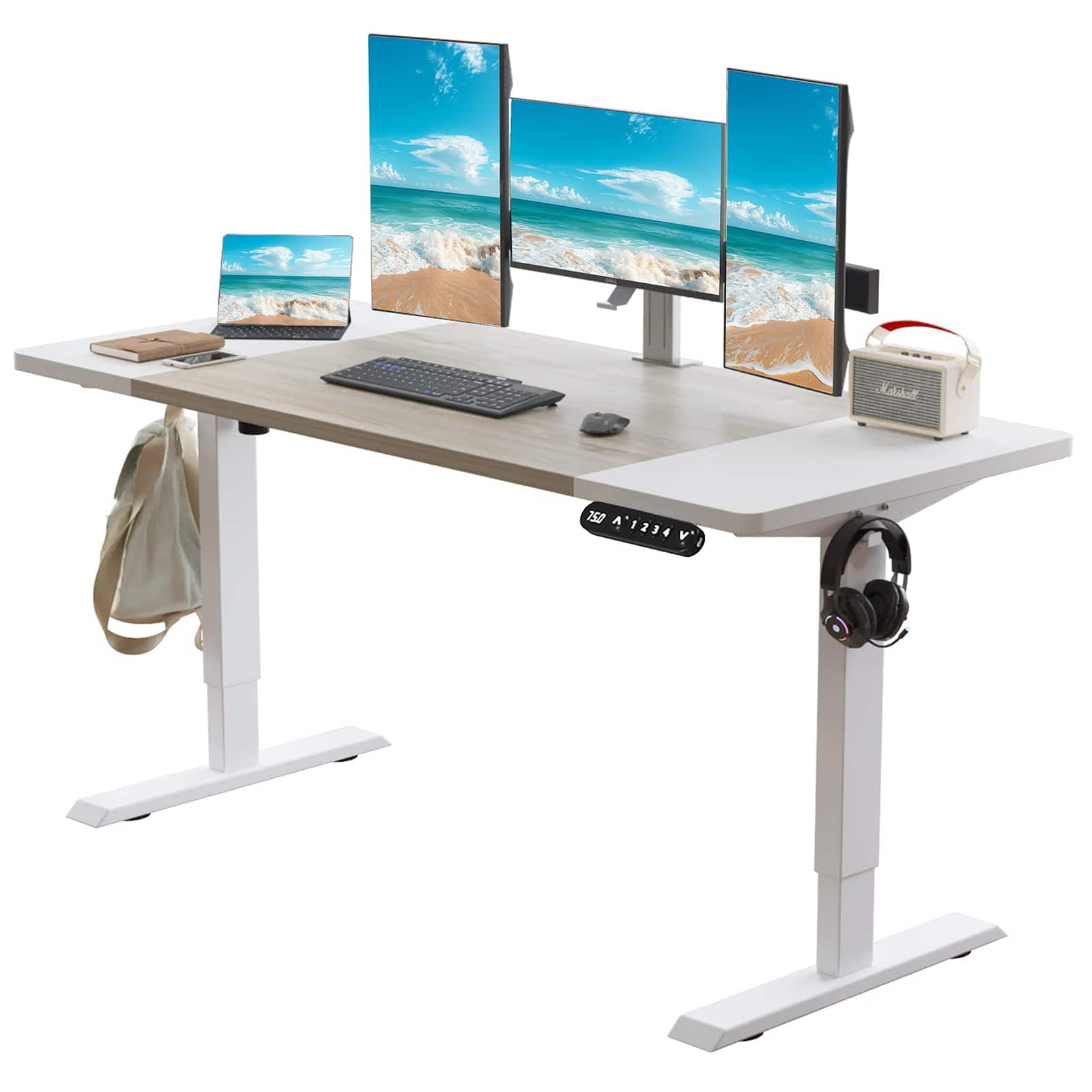 Chateau Abodes - 63" Electric Standing Desk with Adjustable Height, Real Wood Splice Board Top & Type-C, 4 Memory Buttons - Oak White