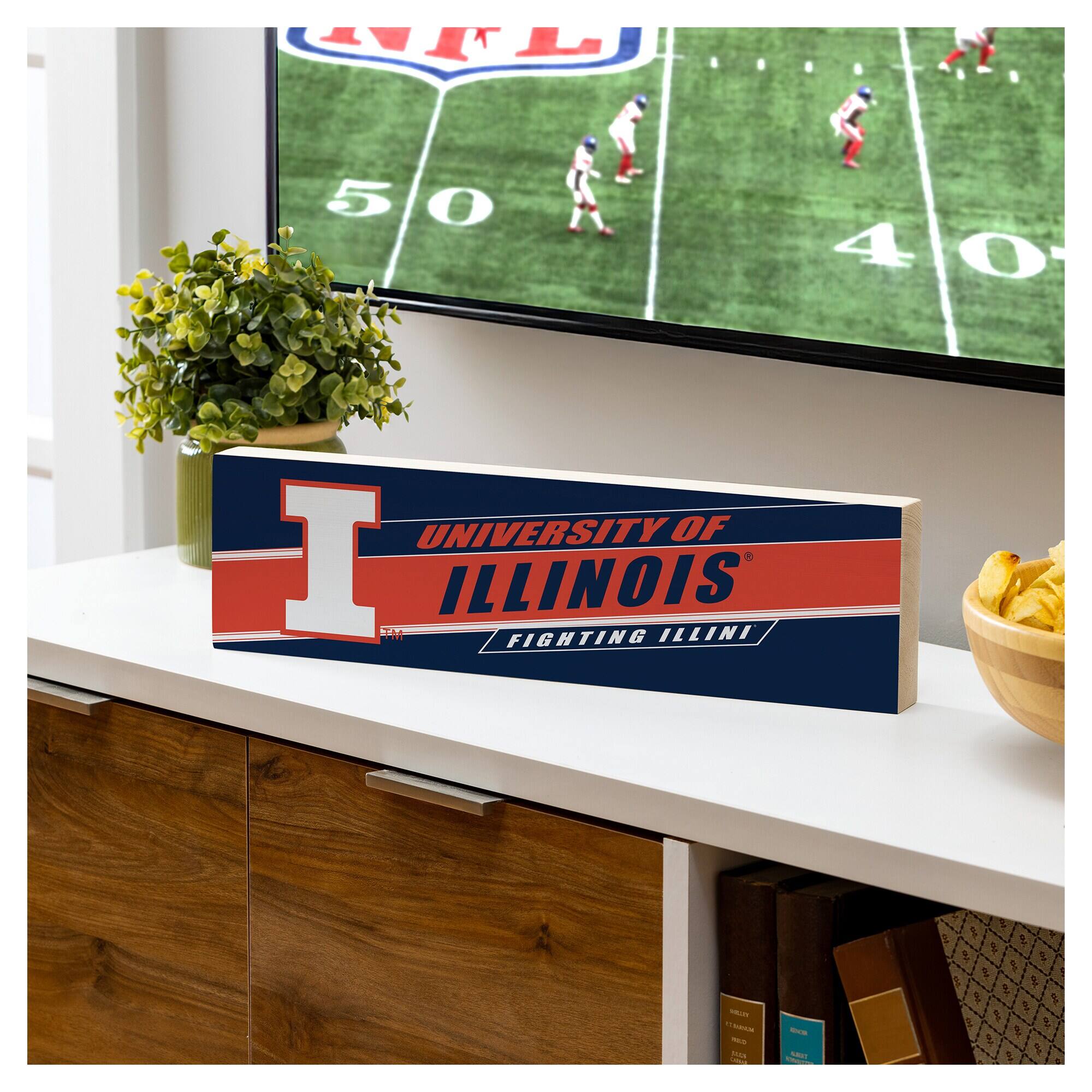 UNIVERSITY OF ILLINOIS  
FIGHTING ILLINI