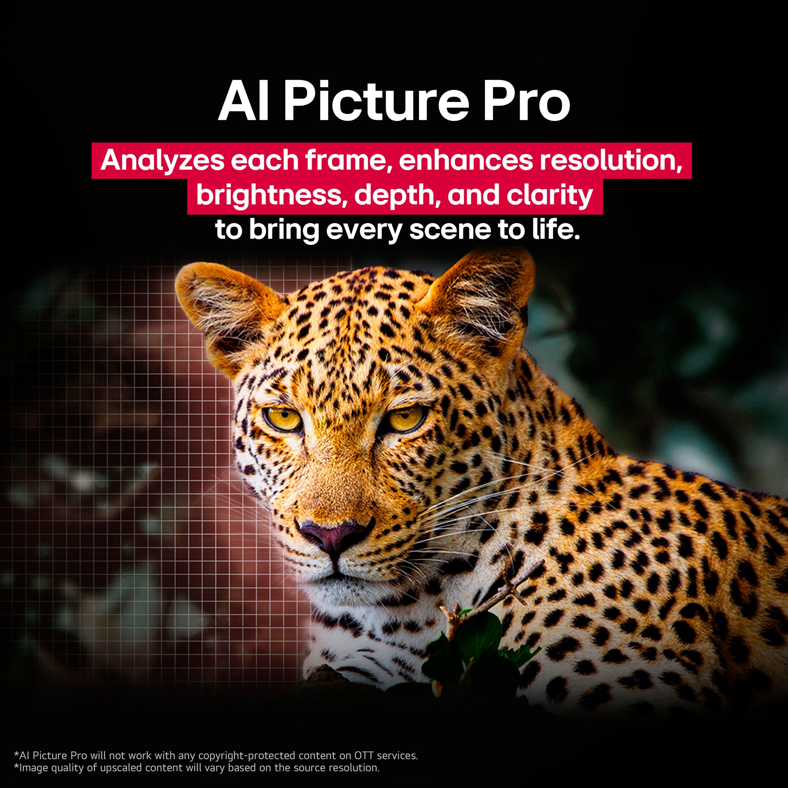 "Al Picture Pro Analyzes each frame, enhances resolution, brightness, depth, and clarity to bring every scene to life. *Al Picture Pro will not work with any copyright-protected content on OTT services. *image quality of upscaled content will vary based on the source resolution."