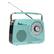 Radio 98 95 1100 100 950 13.8 1300 11.5 16.0 DO 14N 103 9.0 600 6.5 1620 106 1 5.6 520 1730- 108 t TUNING radioshack